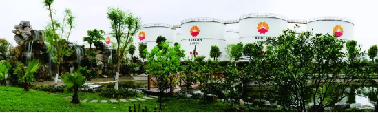 Kunlun Oil, Soul of the Nation: Do You Know How Remarkable the National Team Is?