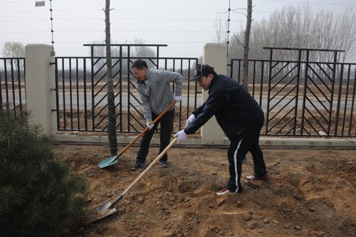Company Organizes Headquarters Staff to Carry Out Tree Planting at the Beijing Plant