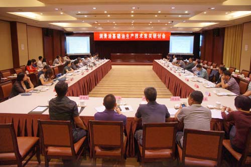 Seminar on Lubricant Base Oil Production Technology Held in Taicang