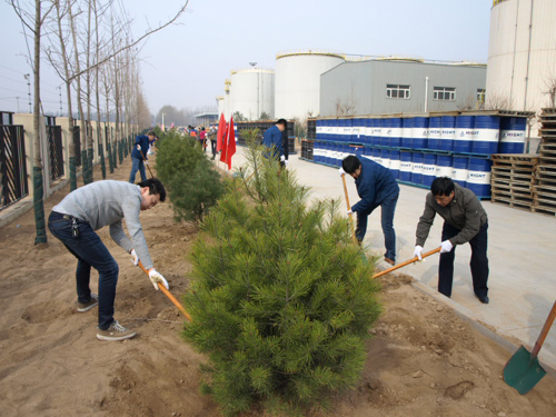 Company Organizes Headquarters Staff to Carry Out Tree Planting at the Beijing Plant