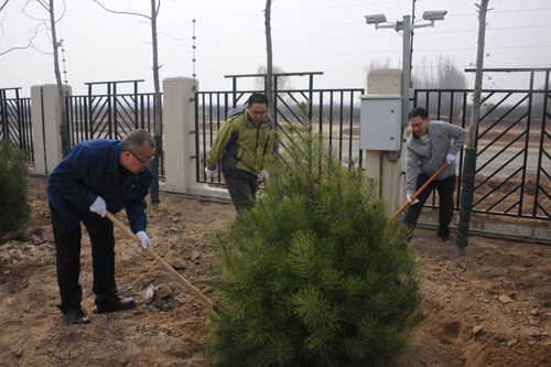 Company Organizes Headquarters Staff to Carry Out Tree Planting at the Beijing Plant