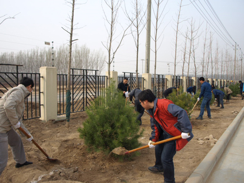 Company Organizes Headquarters Staff to Carry Out Tree Planting at the Beijing Plant